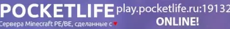 PocketLife